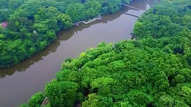 南方园林青山绿水河流航拍大景视频的预览图